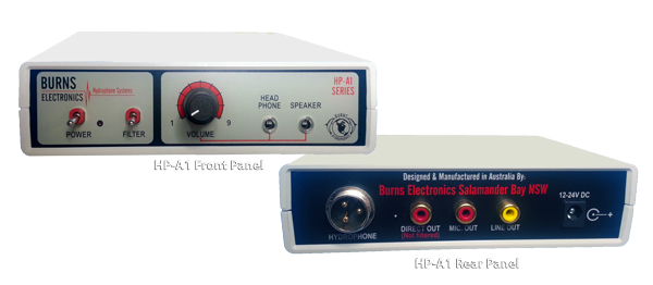 Burns Electronics amplifier with front and rear panels displayed.